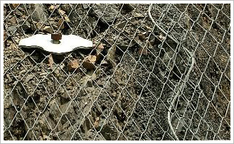 布鲁克网是通过钢筋或钢丝绳、锚杆、专用锚垫板以及必要时的边沿支撑绳等固定方式，作为系统主要构成的柔性网覆盖在有潜在地质灾害的坡面上，布鲁克网适用于具有坍塌、崩塌、浅层滑动、危岩落石等潜在地质灾害的土质